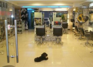 beautysalon